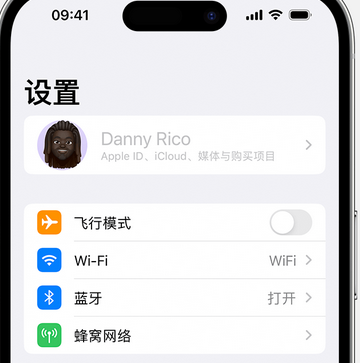 潼关appleID维修服务iPhone设置中Apple ID显示为灰色无法使用