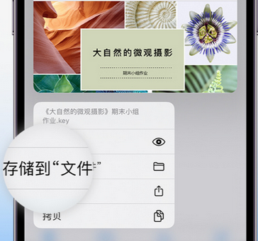 潼关apple维修中心分享iPhone文件应用中存储和找到下载文件