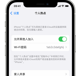 潼关apple服务站点分享iPhone上个人热点丢失了怎么办