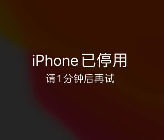 潼关苹果手机维修分享:iPhone 显示“不可用”或“已停用”怎么办？还能保留数据吗？ 