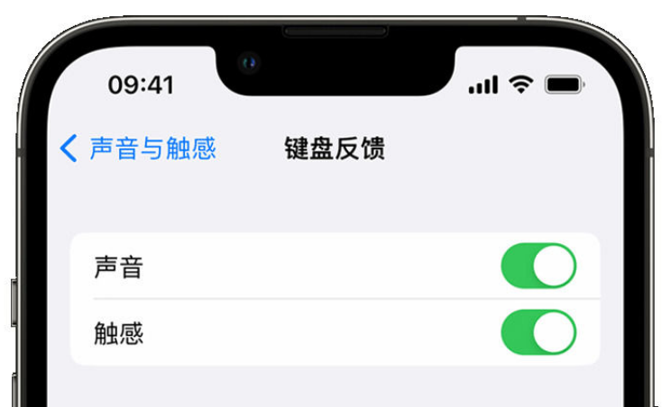 潼关苹果手机维修分享iPhone 14触感键盘使用方法 