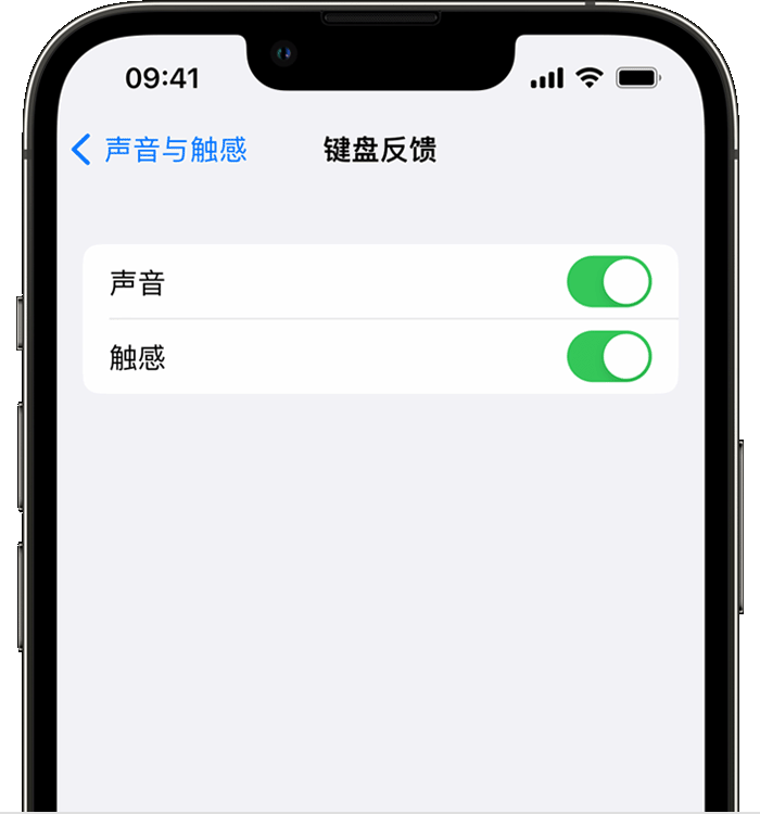 潼关苹果14维修店分享如何在 iPhone 14 机型中使用触感键盘 