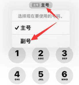 潼关苹果14维修店分享iPhone 14 Pro Max使用副卡打电话的方法 