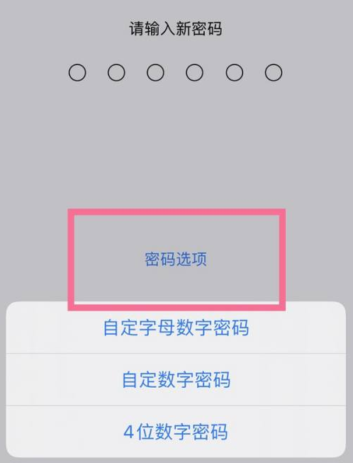 潼关苹果14维修分享iPhone 14plus设置密码的方法 