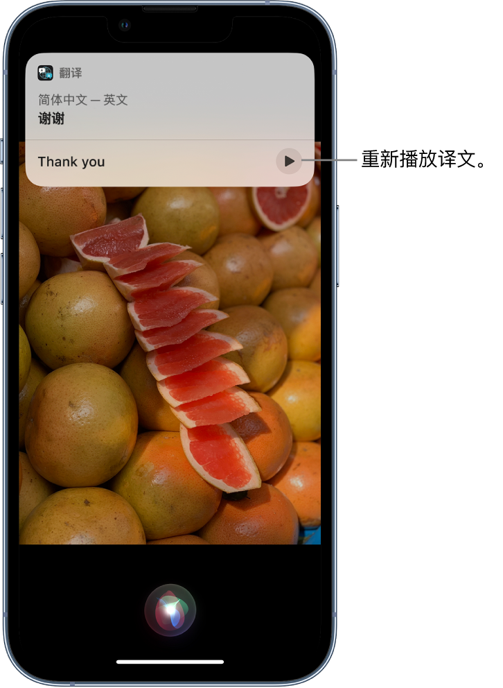 潼关苹果14维修分享 iPhone 14 机型中使用 Siri：了解 Siri 能帮你做什么 