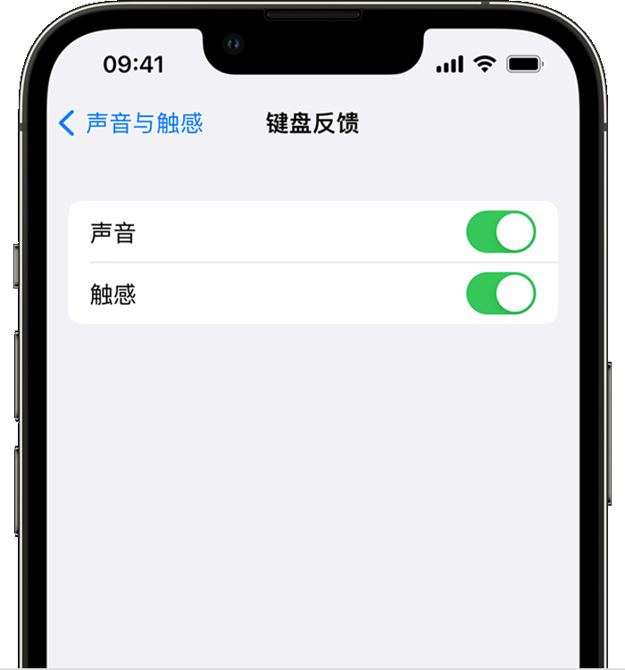 潼关苹果14维修分享iPhone 14 系列机型如何开启键盘声音或触感反馈 