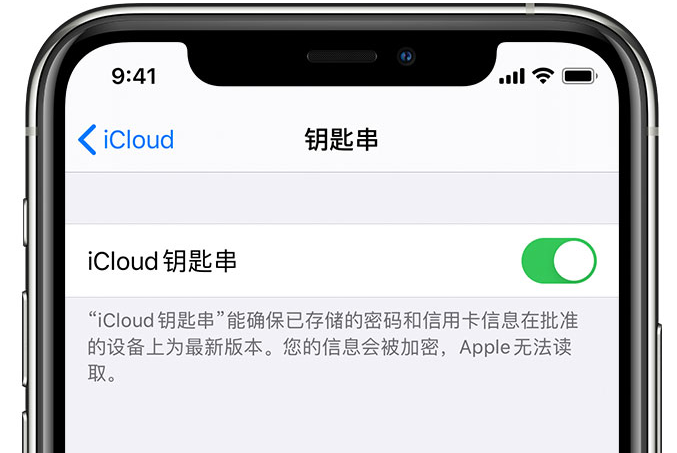 潼关苹果手机维修分享在 iPhone 上开启 iCloud 钥匙串之后会储存哪些信息 