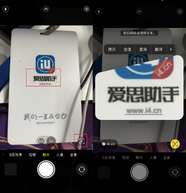 潼关苹果手机维修分享升级iOS 16后如何通过相机翻译文本 