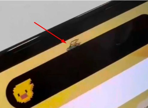 潼关苹果14维修分享iPhone 14 Pro Max灵动岛怎么养宠物 