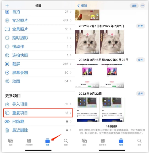 潼关苹果手机维修分享iOS 16 中相册重复项目功能使用方法 