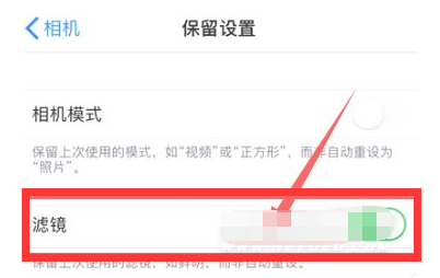潼关苹果13维修分享iPhone13拍照有绿点是怎么回事 