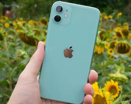 潼关苹果维修点分享iPhone 11锁屏密码认知与使用科普 